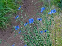 DSC04092 : David von der Mehden