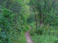 DSC04098 : David von der Mehden