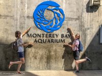 IMG 2769 : David von der Mehden