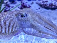 IMG 2780 : David von der Mehden