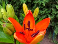 IMG 2818 : David von der Mehden