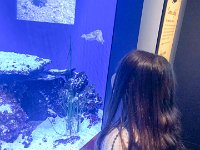 IMG 3549 : David von der Mehden