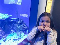 IMG 3552 : David von der Mehden