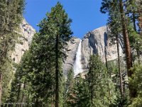 IMG 6145 : David von der Mehden