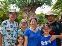 478884611 : David von der Mehden