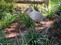 IMG 2945 : David von der Mehden