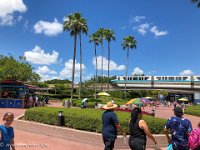 IMG 2946 : David von der Mehden