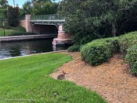 IMG 2955 : David von der Mehden