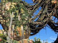 IMG 3034 : David von der Mehden