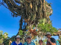 IMG 3036 : David von der Mehden