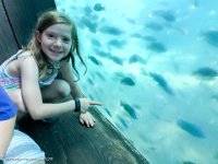 IMG 3039 : David von der Mehden