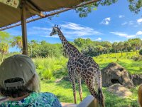 IMG 3041 : David von der Mehden