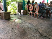 IMG 3047 : David von der Mehden