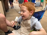 IMG 3058 : David von der Mehden