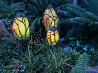 IMG 3075 : David von der Mehden