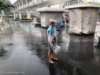 IMG 3094 : David von der Mehden