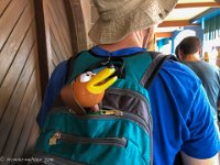 IMG 3097 : David von der Mehden