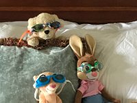 IMG 4949 : David von der Mehden