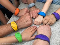 IMG 6446 : David von der Mehden