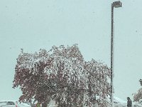 57833514239  9A5B9E8C-3F1E-4FE0-8163-73D23FC031C3 : David von der Mehden