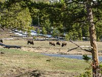 DS602391 : David von der Mehden