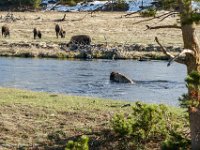 DS602404 : David von der Mehden