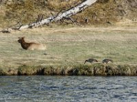 DS602412 : David von der Mehden