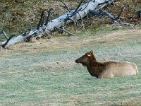 DS602419 : David von der Mehden