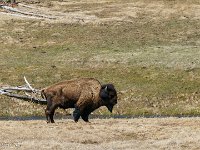 DS602425 : David von der Mehden