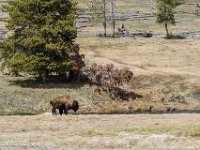 DS602432 : David von der Mehden