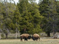 DS602469 : David von der Mehden