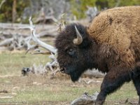 DS602498 : David von der Mehden