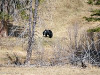 DS602624 : David von der Mehden