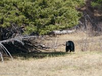 DS602643 : David von der Mehden