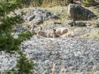 DS602649 : David von der Mehden