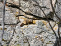 DS602673 : David von der Mehden