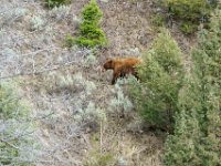 DS602821 : David von der Mehden