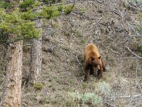 DS602853 : David von der Mehden