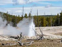 DSC00720 : David von der Mehden