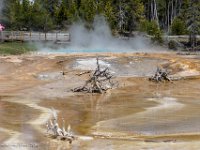 DSC00817 : David von der Mehden