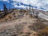 DSC01010 : David von der Mehden