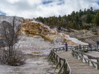 DSC01013 : David von der Mehden