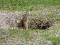 DSC01048 : David von der Mehden