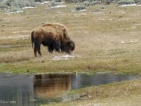 DSC01114 : David von der Mehden