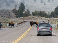 DSC01138 : David von der Mehden