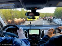 IMG 2243 : David von der Mehden