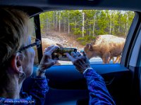 IMG 2247 : David von der Mehden