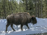 IMG 5357 : David von der Mehden