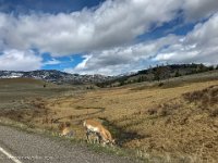 IMG 5365 : David von der Mehden