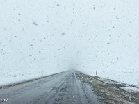 Screen Shot 2019-05-01 at 7.35.05 AM : David von der Mehden